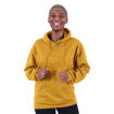 Picture of Unisex Phoenix Hoodie